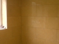Tiling_5_-1
